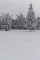 Aavasaksa9_800px