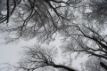 Kristinestrom2_800px