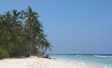 northshore3 * northside beach and palmtrees * 800 x 491 * (53KB)
