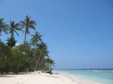northshore4 * again * 800 x 600 * (60KB)
