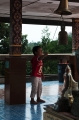 Bellboy_600px